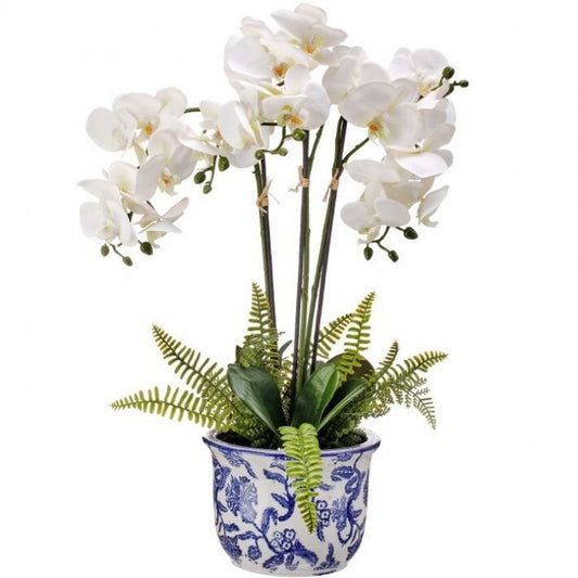 Triple Phalaenopsis  Orchid and Fern in Ceramic Pot 22"