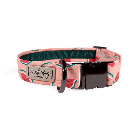 Summer Pink Watermelon Buckle & Martingale Dog Collar